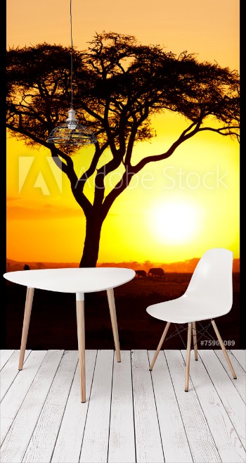 Bild på African sunset